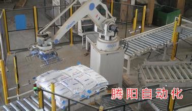 全自動碼垛機(jī)器人