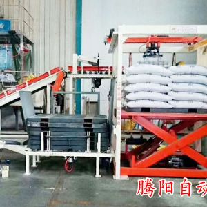 山東騰陽全自動碼垛機滿足您所有應(yīng)用的需求