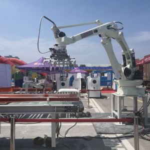 機(jī)器人碼垛機(jī)生產(chǎn)線性能特點(diǎn)