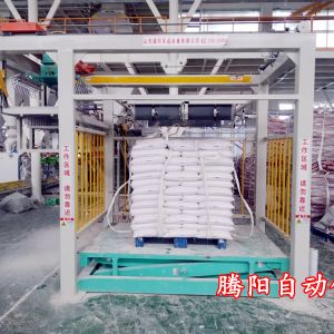 全自動碼垛機器人產(chǎn)品性能及適用范圍