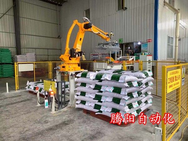 騰陽卸車碼垛機(jī)器人?流水線