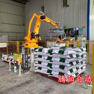 騰陽卸車碼垛機(jī)器人?流水線