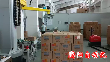 立柱碼垛機(jī)箱裝產(chǎn)品自動(dòng)化碼垛