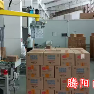 立柱碼垛機(jī)箱裝產(chǎn)品自動(dòng)化碼垛