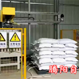 淀粉碼垛機(jī)針對(duì)產(chǎn)品特性對(duì)碼垛機(jī)進(jìn)行相關(guān)研發(fā)調(diào)試