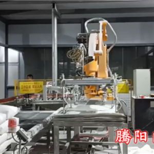 用一臺碼垛機(jī)器人自動鋪托盤自動碼垛