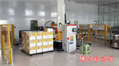 箱裝食品立柱碼垛機(jī)器人效率高減少貨物損壞