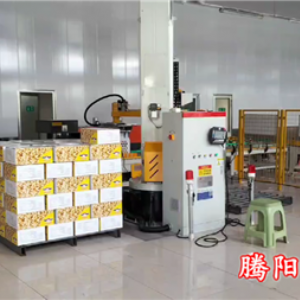 箱裝食品立柱碼垛機(jī)器人效率高減少貨物損壞