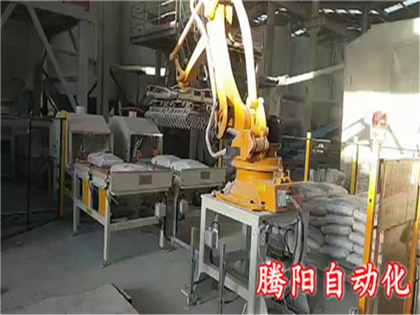 國(guó)產(chǎn)碼垛機(jī)器人