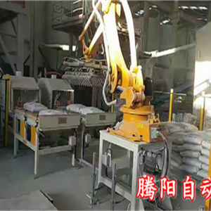 國(guó)產(chǎn)碼垛機(jī)器人化工產(chǎn)品雙線碼垛