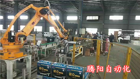 工業(yè)碼垛機(jī)器人