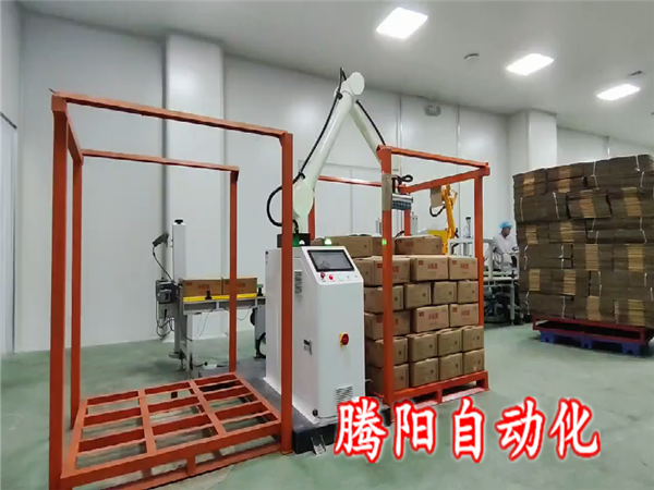 箱裝食品協(xié)作碼垛機(jī)器人