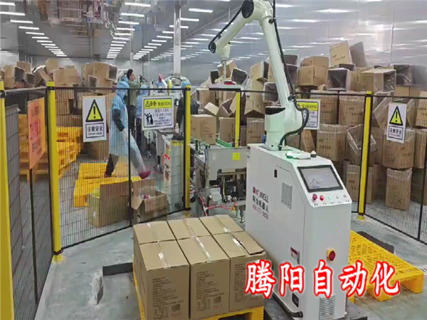 箱裝食品協(xié)作碼垛機器人